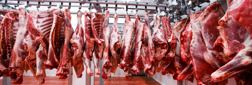 Beef and pork processing